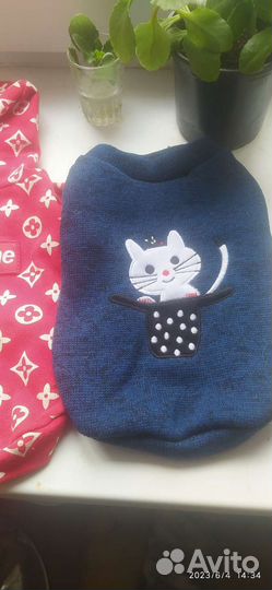 Одежда для маленькой собаки или для кошки