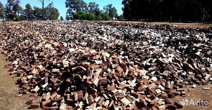 Дрова Береза