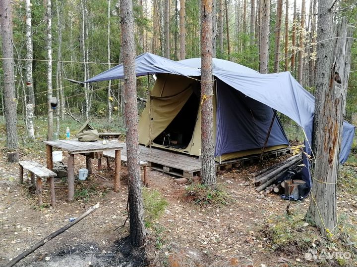 Организую охоту на гуся на болотах Архангельской