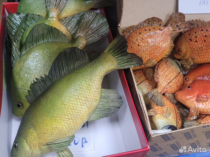 Рыбки декоративные