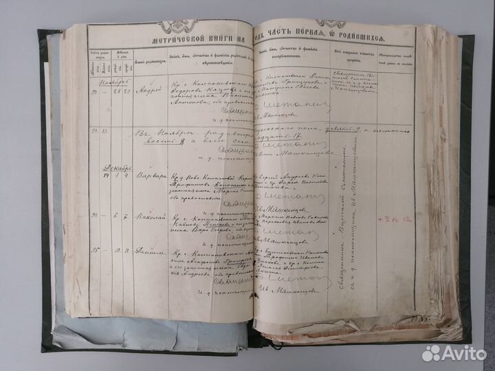 Архивный поиск. гаак Барнаул. Генеалогия