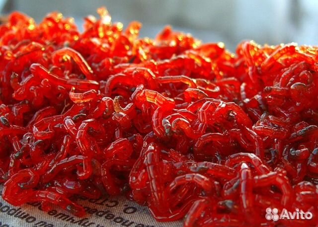 Мотыль Насадочный крупный(урал)