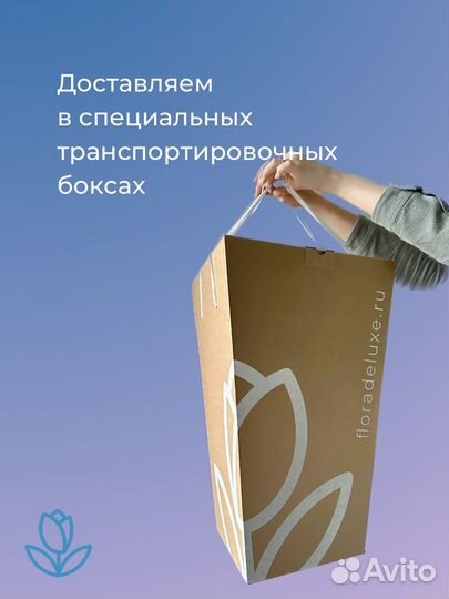 Розы Кения standart (оранж), бесплатная доставка