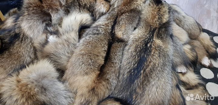 Шкуры енота