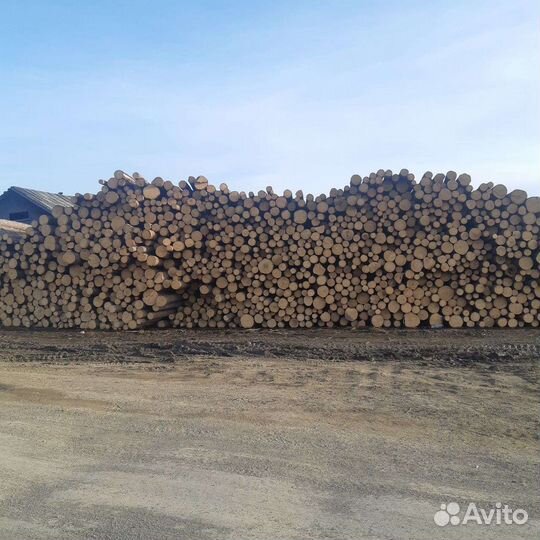 Лес кругляк пиловочник