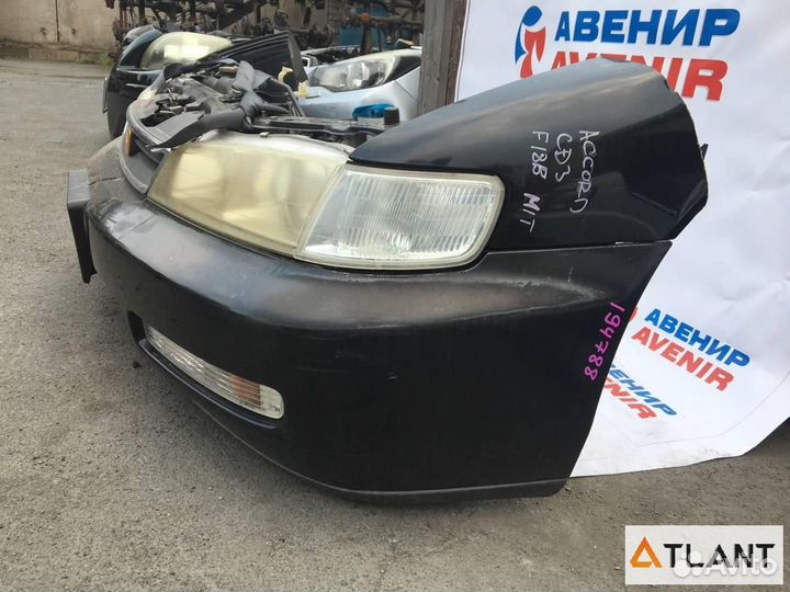 Ноускат honda accord