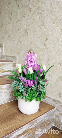 Интерьерные цветы