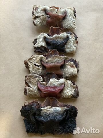 Носики говяжьи. Лакомство для любимых потомцев