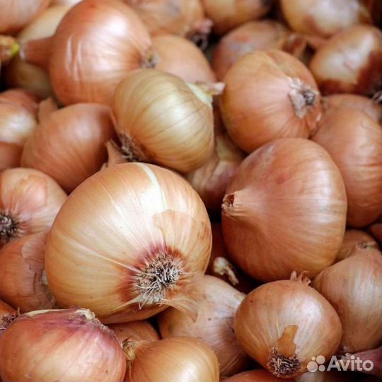 Домашние овощи