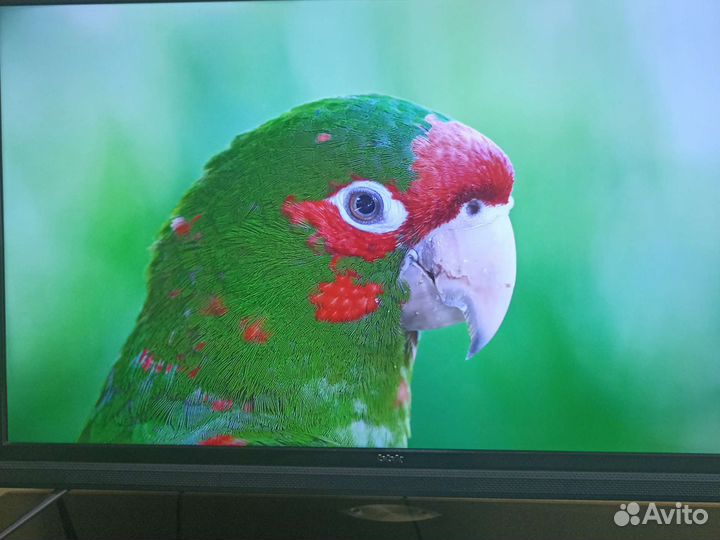Телевизор BBK 43lex 8161 4K Smart TV