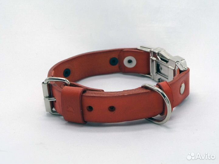 Ошейник с пряжкой фастекс