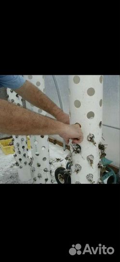 Вертикальные и горизонтальные грядки для помещений