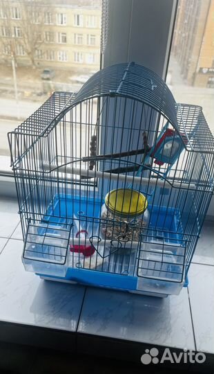 Клетка для попугая и ванночка
