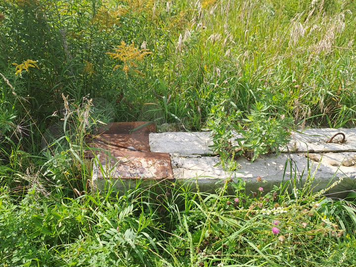 Участок 15 сот. (ИЖС)