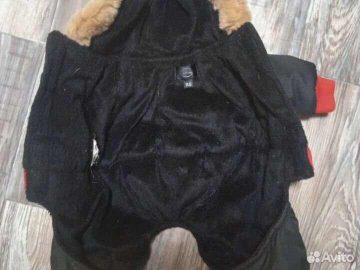 Собачий комбинезон