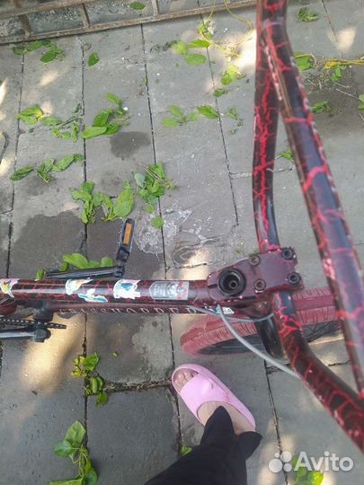 Велосипед bmx tech team grasshopper