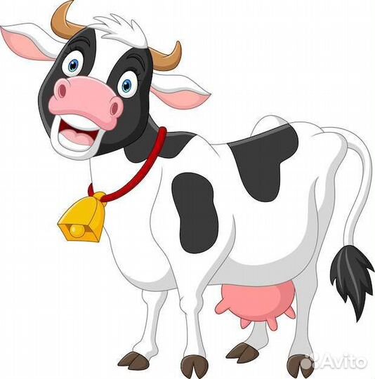Корова стельная дойная