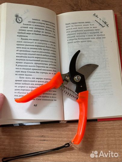 Оксана Робски День счастья-завтра