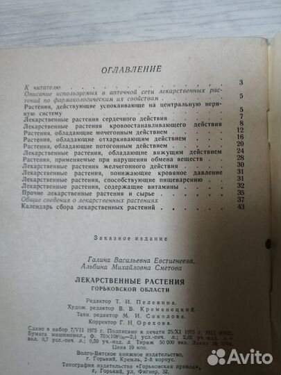 Брошюра лекарственные травы