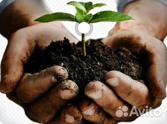 Суземистый(верхний плодородный) слой почвы навоз