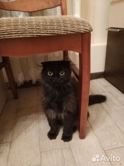 Помогите, некуда идти