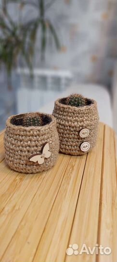 Живой кактусенок в джутовой шубке