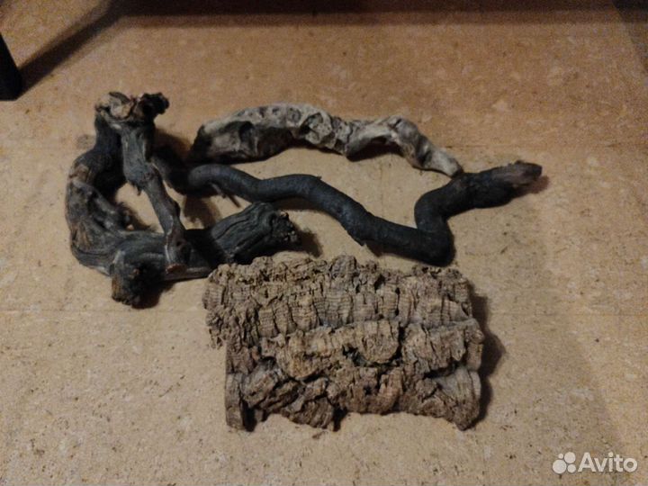 Террариум для бородатой агамы