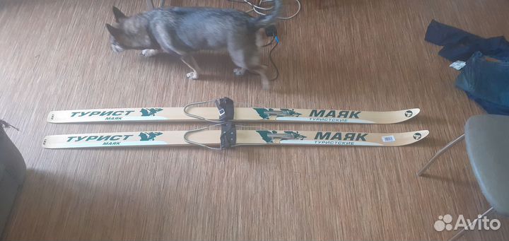 Туристические лыжи маяк 180