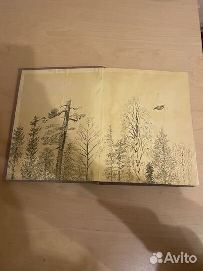 Виталий Бианки: Рассказы и сказки 1954г