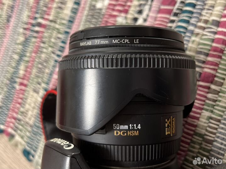 Canon 500d Sigma 50mm 1:1.4