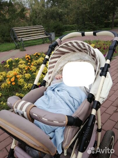 Коляска 2 в 1 Adamex Enduro