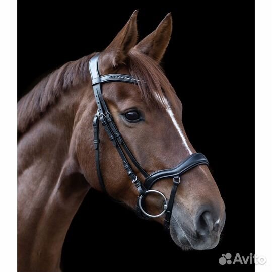 Уздечка для лошади