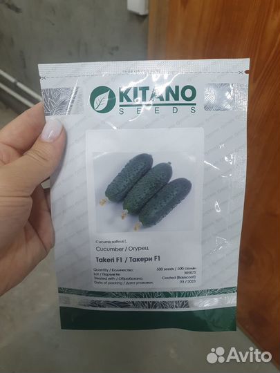 Семена огурец Такери 500с Китано