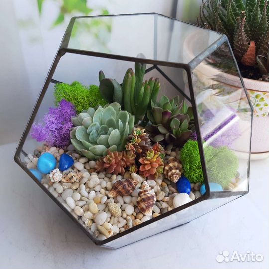 Флорариум. подарки. цветы. суккуленты
