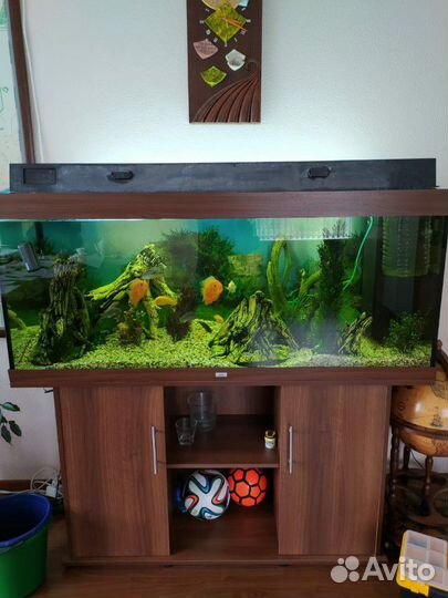 Установка, чистка, обслуживание пресноводных аквар