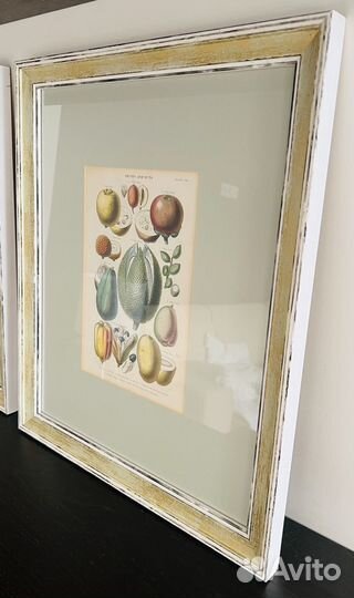 Антикварная ботаническая иллюстрация в раме 4шт