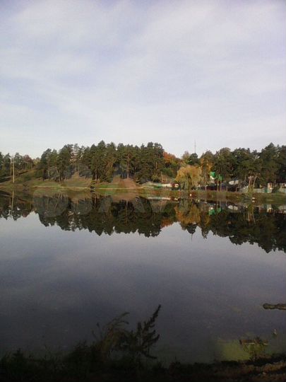 Дом 45 м² на участке 8,5 сот.