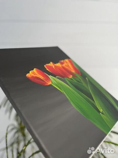 Картина тюльпаны акрилом