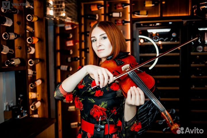 Скрипка на любой праздник