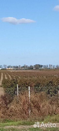 Продам земельный участок
