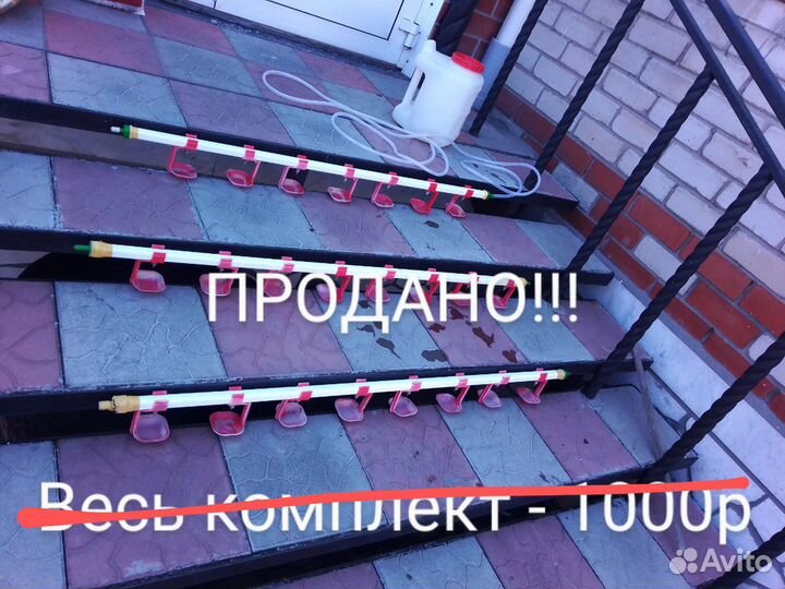 Продам товары для разведения домашней птицы