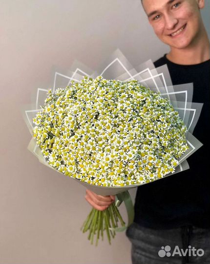 Цветы ромашки. Букеты ромашек. Цветы доставка