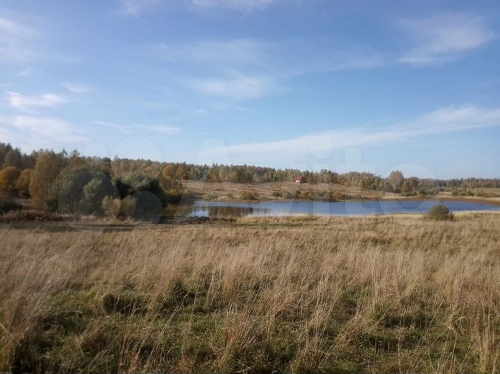 Участок 10 сот. (СНТ, ДНП)