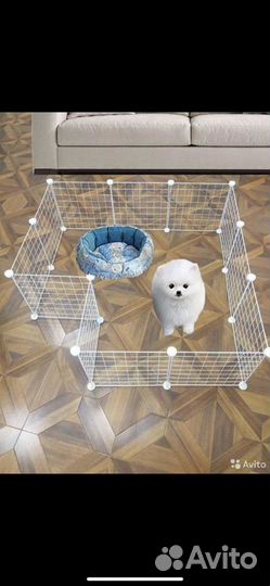 Вольер, загон для собак и кошек