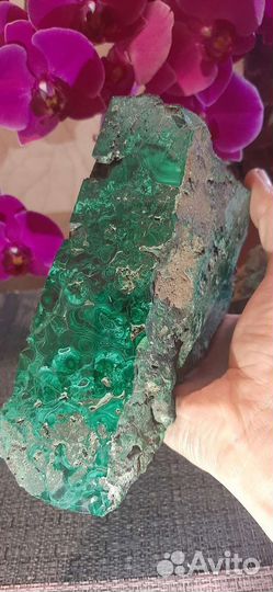 Малахит Уральский