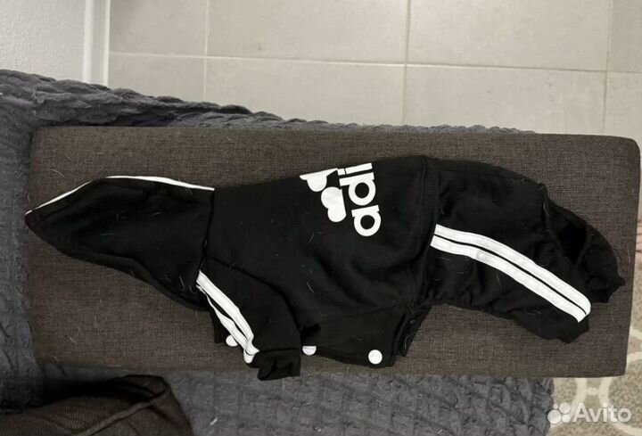 Одежда для собак мелких пород пакетом