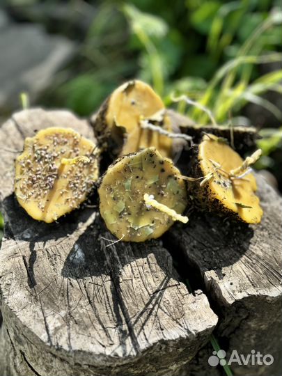 Свечи ручной работы из вощины