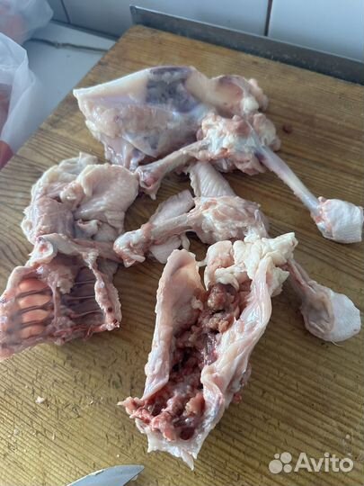 Кости для собак