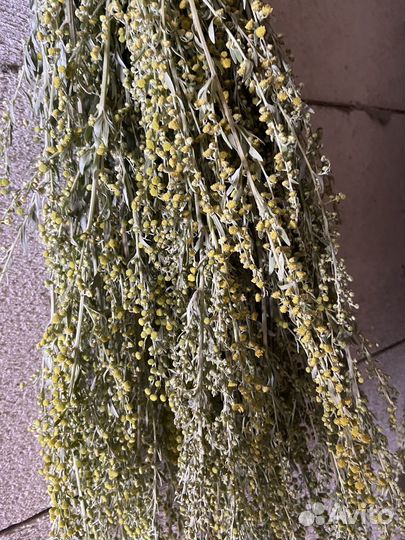 Полынь для бани