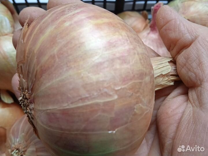 Овощи из деревни